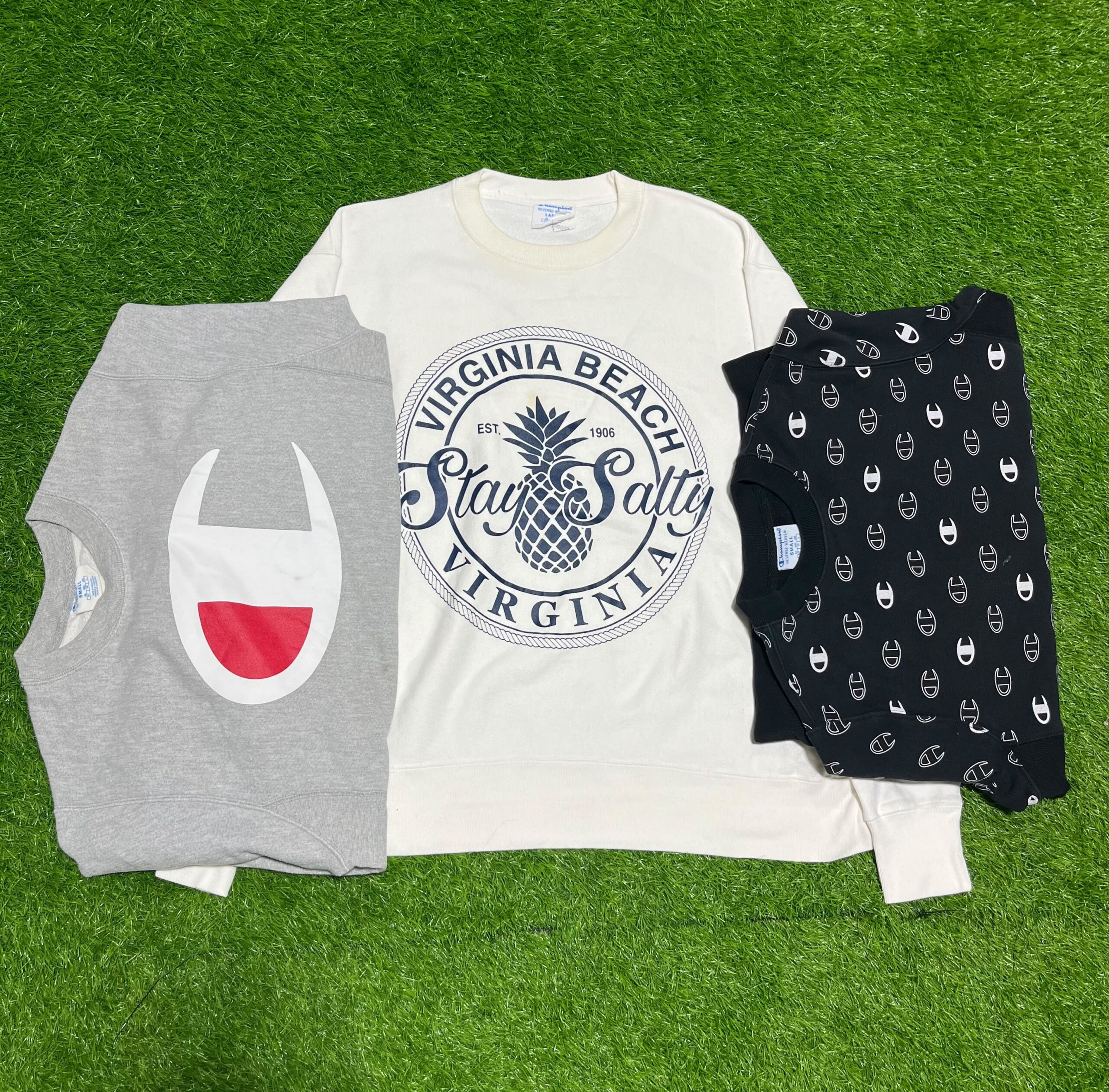 Champion Round Neck SweatShirt